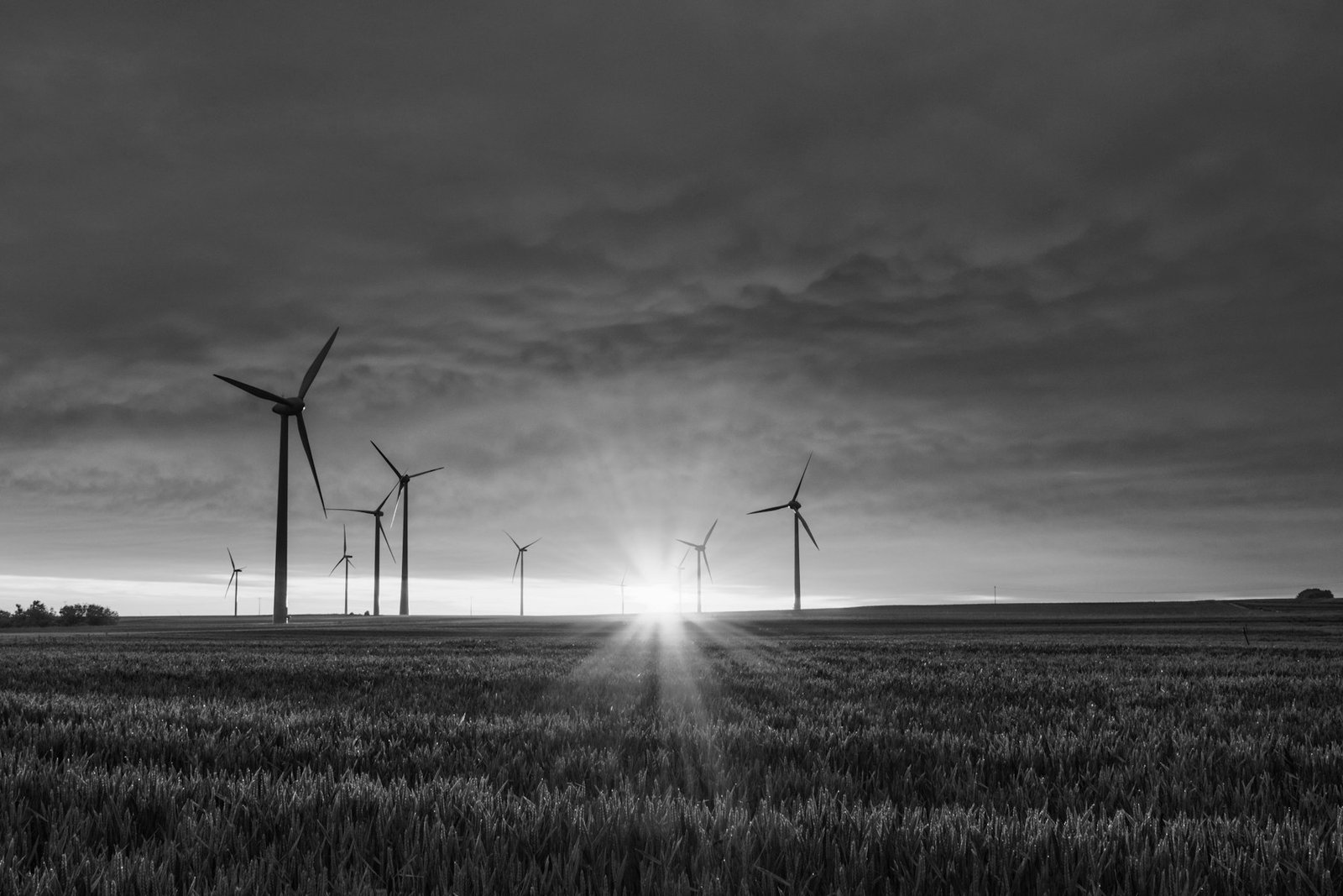 A wind farm at dusk.